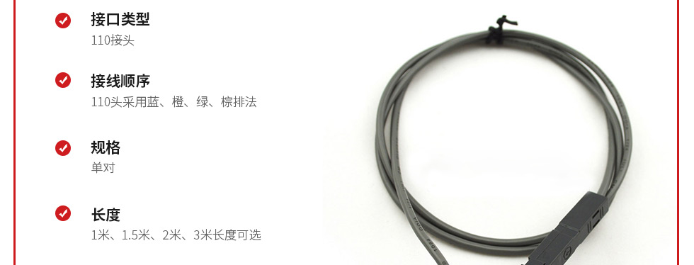 110 to RJ11語(yǔ)音跳線